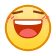 表情[hanxiao]-个人笔记