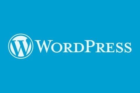 WordPress 被曝光出出XSS跨站脚本漏洞，强烈建议更新最新6.5.2版本-个人笔记