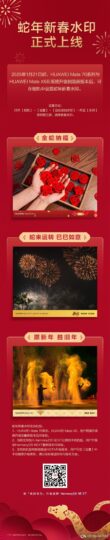 华为蛇年新春水印正式上线，支持华为Mate70系列与Mate X6-个人笔记
